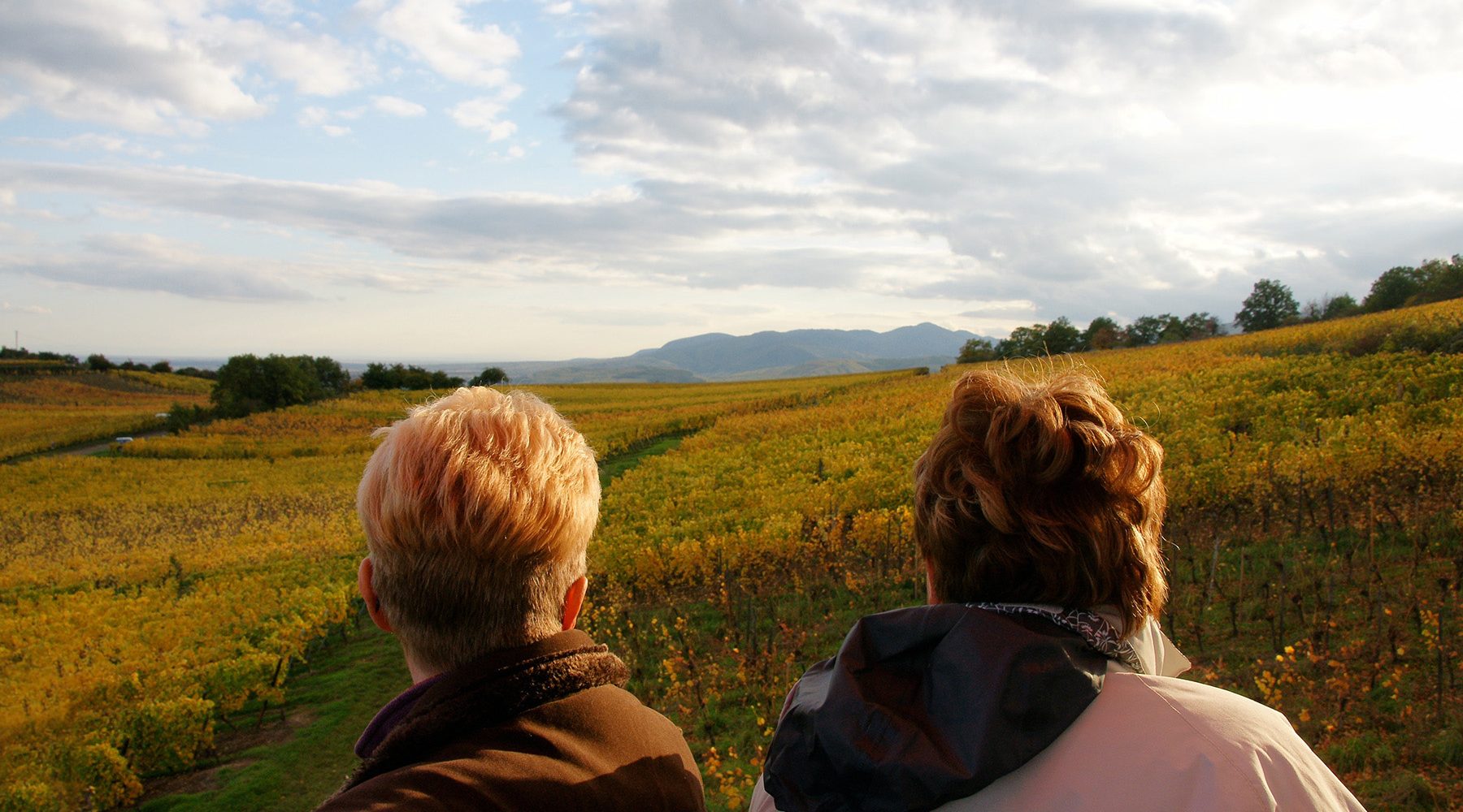 vol montgfolière duo